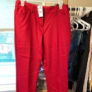 Express Editor Dress Pants